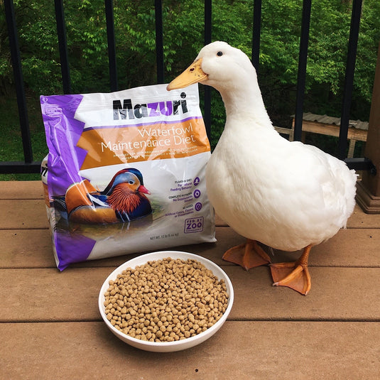 Mazuri Waterfowl Maintenance Diet - Complete Diet for Ducks and Geese