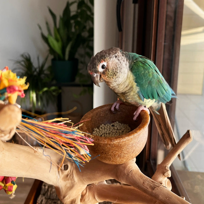 Load image into Gallery viewer, Harrison's Adult Lifetime Fine Bird Pellet
