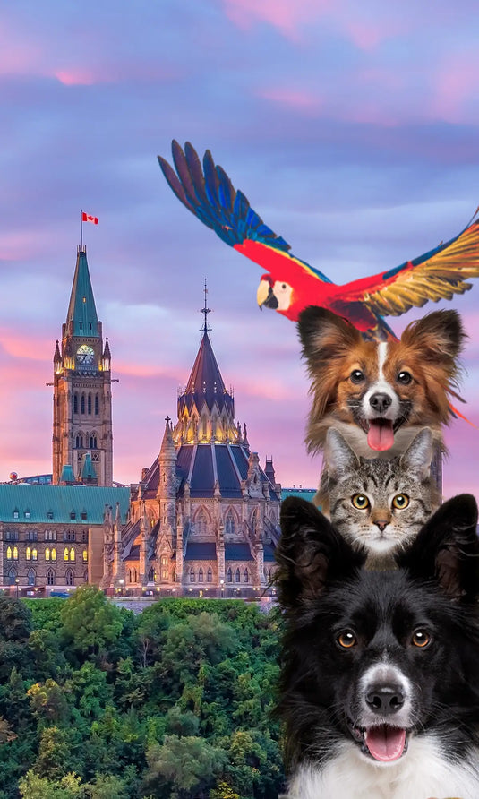 Ottawa Pet Expo - Nov 1st & 2nd