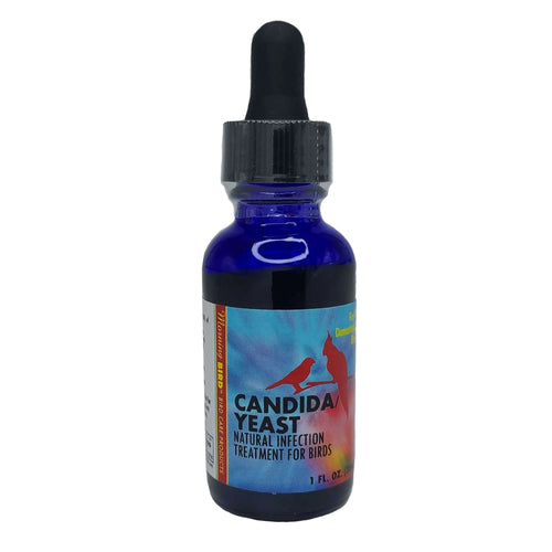 Morning Bird Candida / Yeast Treatment Tincture - 1 oz