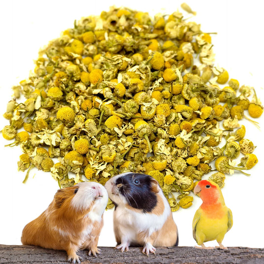 No Furries Delights Natural Dried Chamomile - 30g