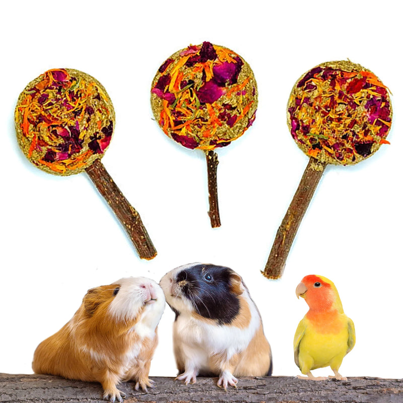Load image into Gallery viewer, No Furries Delights Forage Pops Small Pet Treat - 5 Pack
