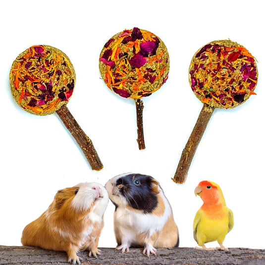 No Furries Delights Forage Pops Small Pet Treat - 5 Pack