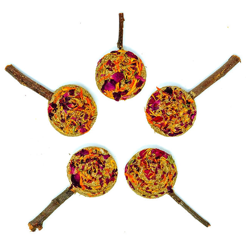 Load image into Gallery viewer, No Furries Delights Forage Pops Small Pet Treat - 5 Pack
