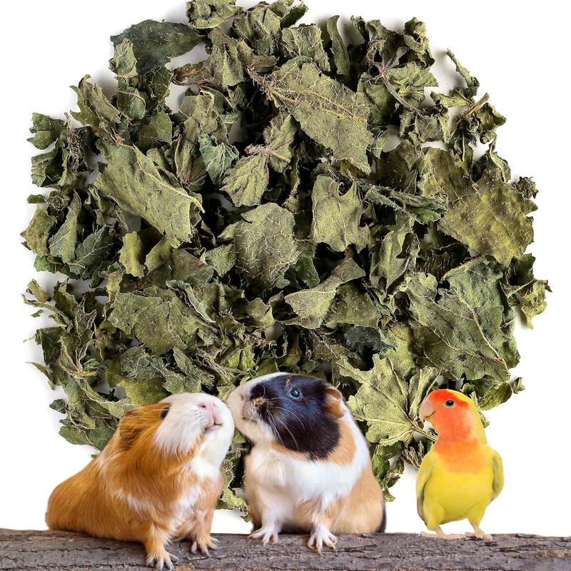 Load image into Gallery viewer, No Furries Delights Natural Dried Nettle Leaf - 30g
