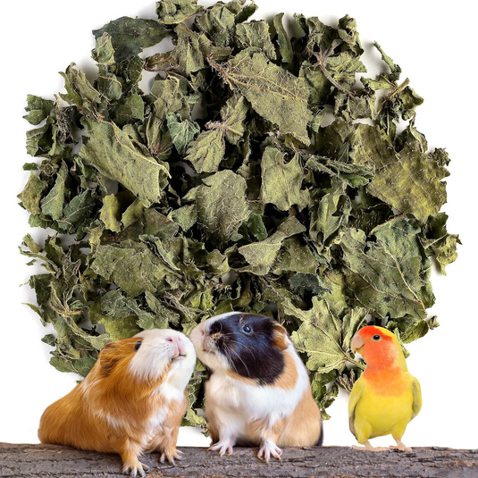 No Furries Delights Natural Dried Nettle Leaf - 30g