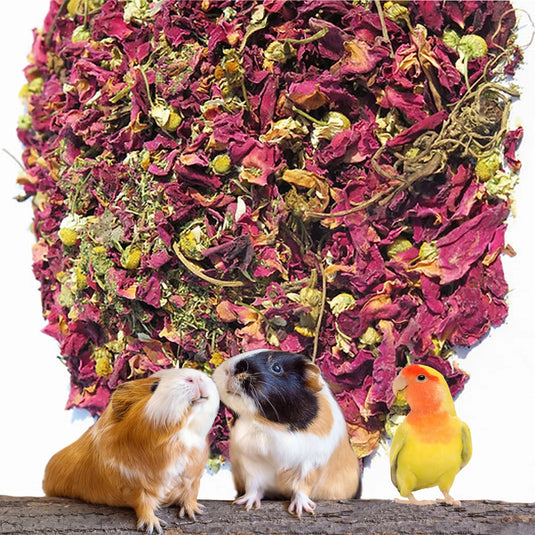 No Furries Delghts Mega Calming Bird & Small Pet Forage / Tea Mix - 25g