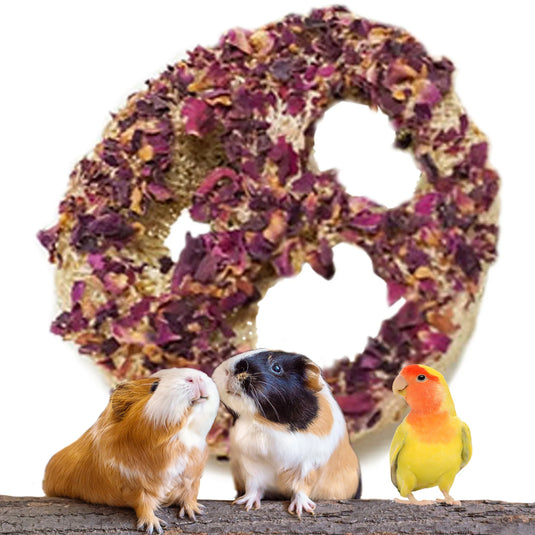 No Furries Delights Floral Loofah Chew - 3 Pack