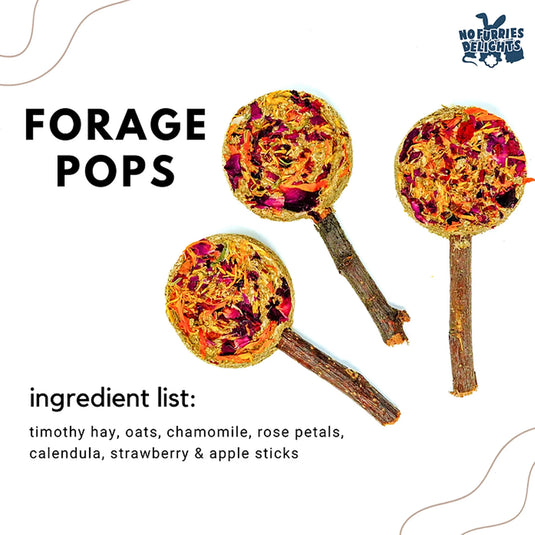 No Furries Delights Forage Pops Small Pet Treat - 5 Pack