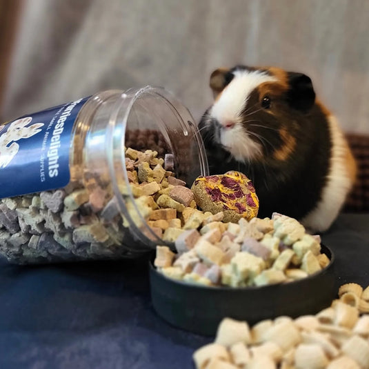 No Furries Delights Nature's Bites - All Natural Small Pet Treat 50g