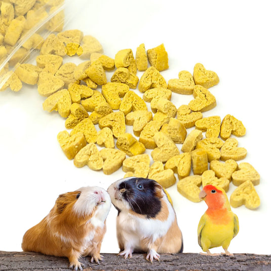 No Furries Delights Pumpkin Bites - All Natural Bird & Small Pet Treat 50g