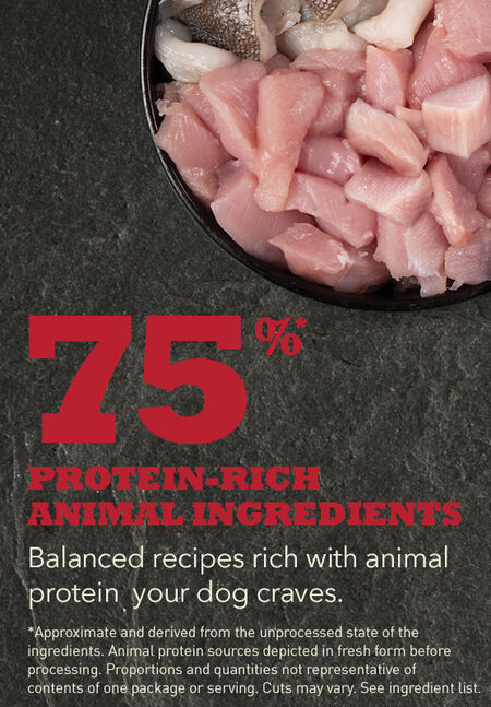 Acana HERITAGE Grain Free Dog Food - Sport & Agility 🍁