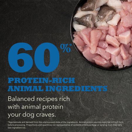 Acana HERITAGE Adult Dog Food 🍁
