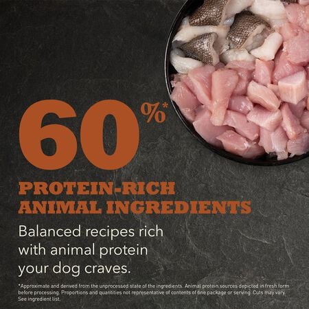 Acana HERITAGE Adult Large Breed Dog Food 🍁