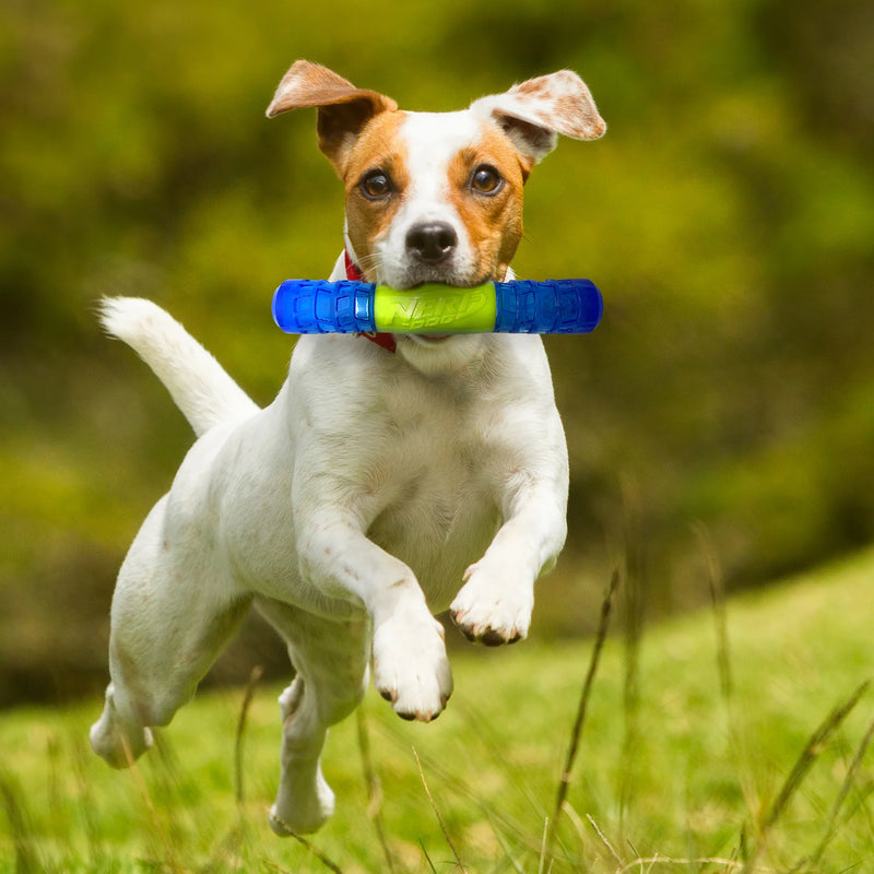 Load image into Gallery viewer, Nerf Dog EXO Squeak Stick Dog Toy
