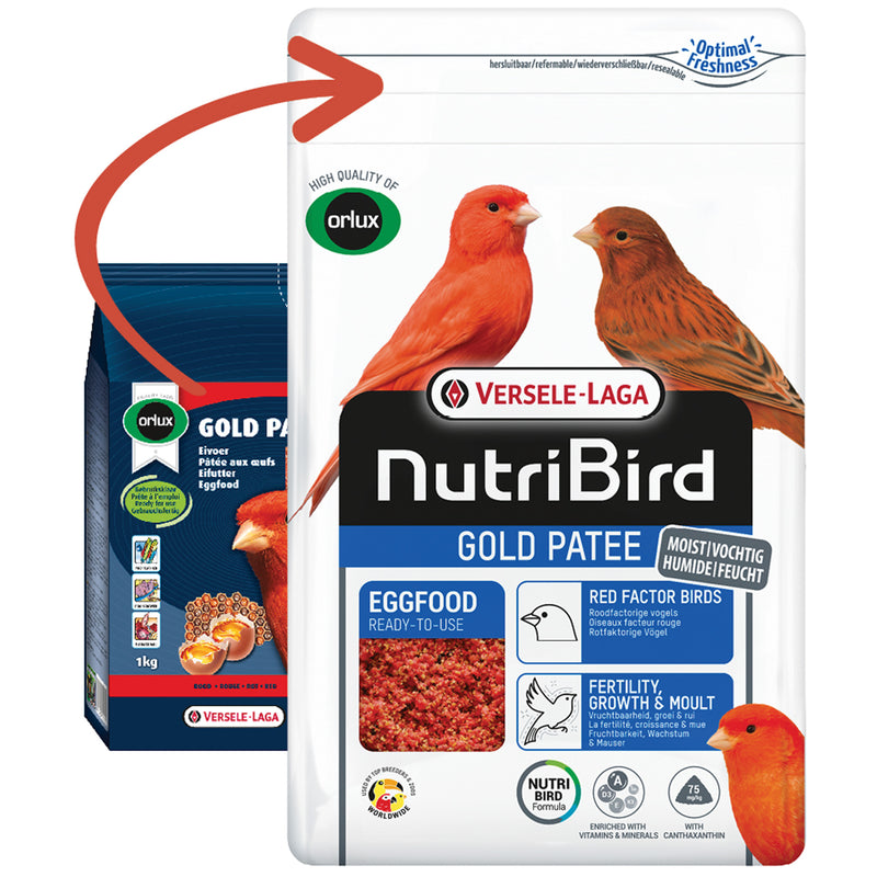 Gold Patee Red Eggfood
