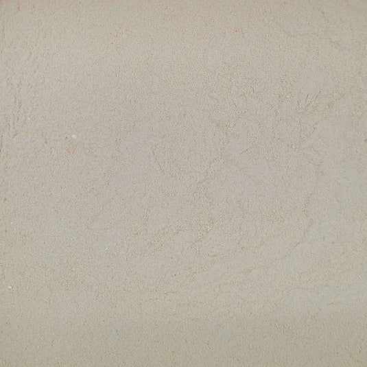 NutriBird Lory / Lorikeet / Fig Parrot Essentials Food