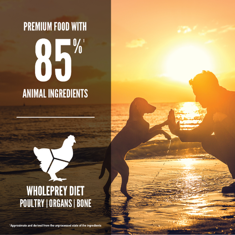 Orijen Grain Free Puppy Food 🍁
