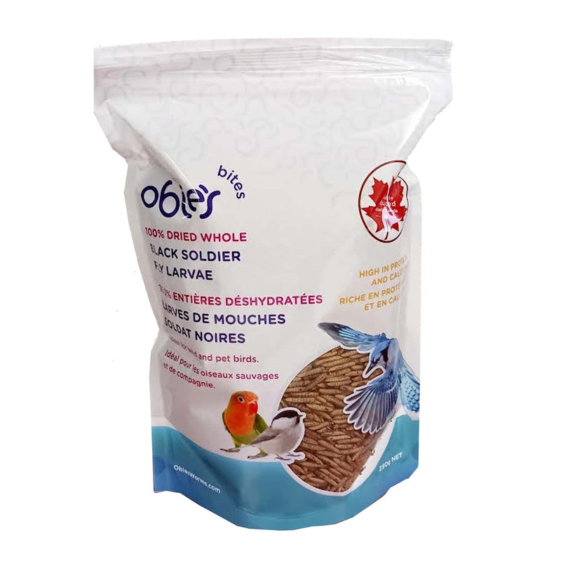 Obie's Dried Black Soldierfly Larvae
