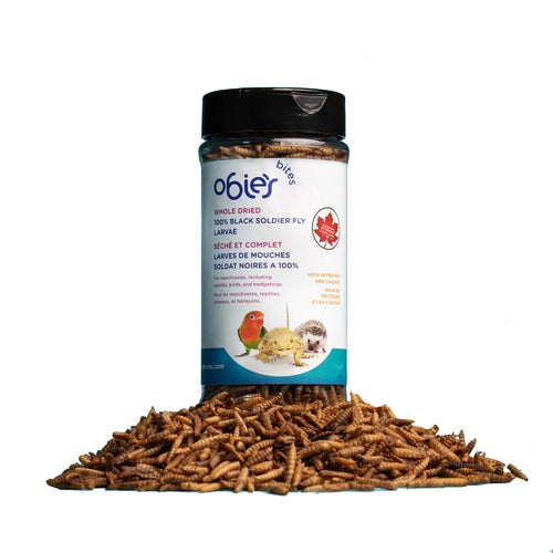 Obie's Dried Black Soldierfly Larvae