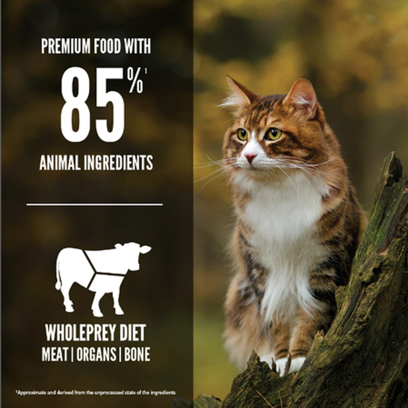Orijen Regional Red Cat Food 🍁
