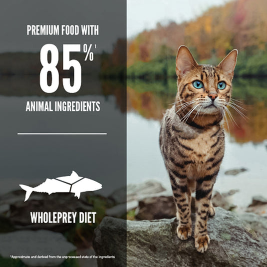 Orijen Six Fish Grain Free Cat Food 🍁