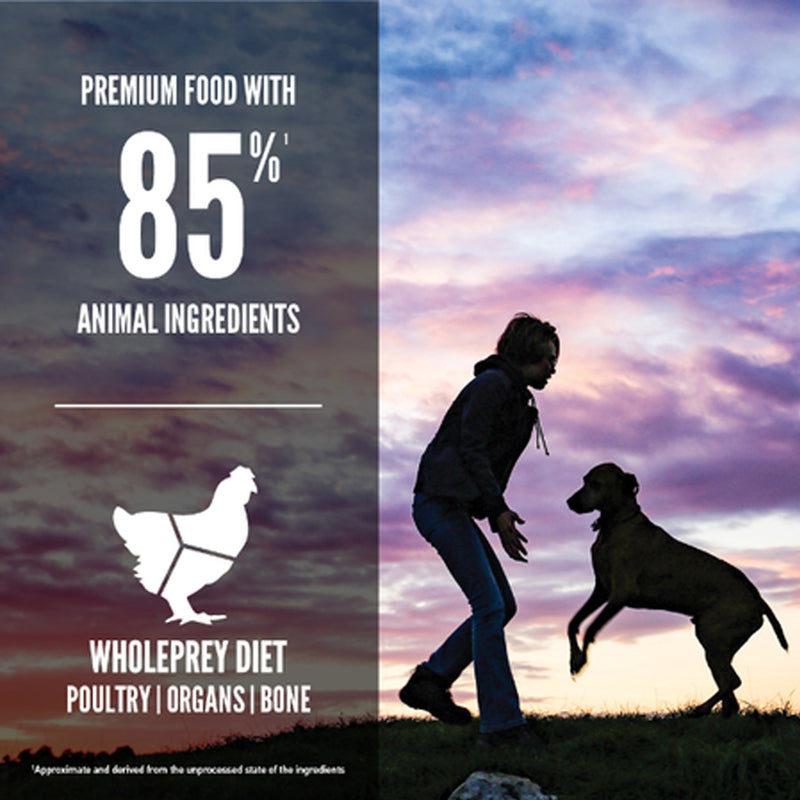 Orijen Large Breed Grain Free Puppy Food 🍁
