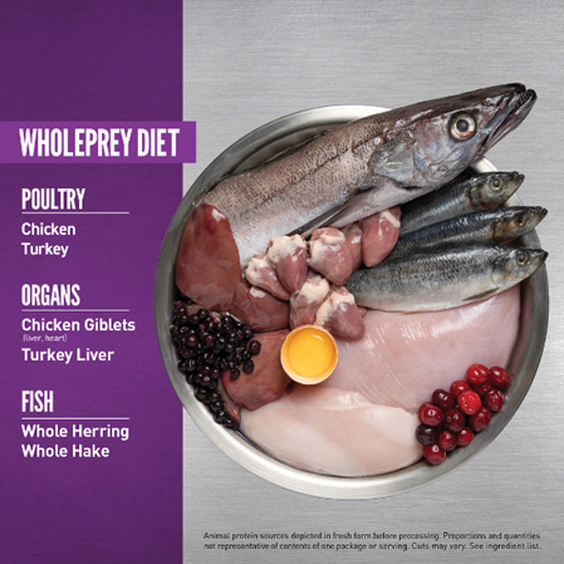 Orijen Large Breed Grain Free Puppy Food 🍁

