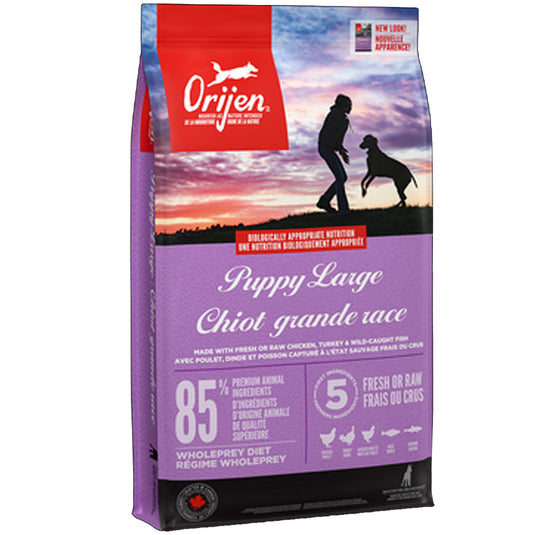 Orijen Large Breed Grain Free Puppy Food 🍁