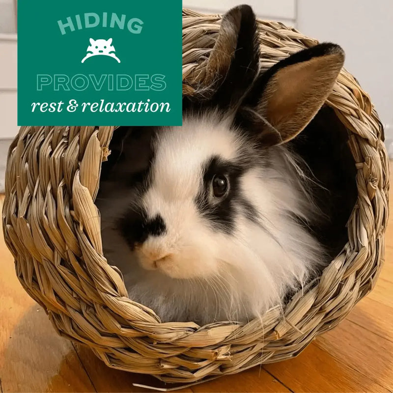 Load image into Gallery viewer, Oxbow Timothy Tunnel
