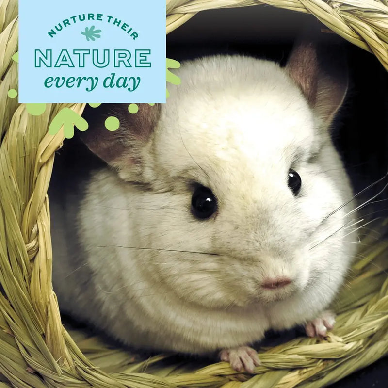 Load image into Gallery viewer, Oxbow Timothy Tunnel
