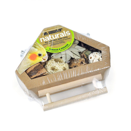 Prevue Hendryx Corner Bird Box with Perch Foraging Toy