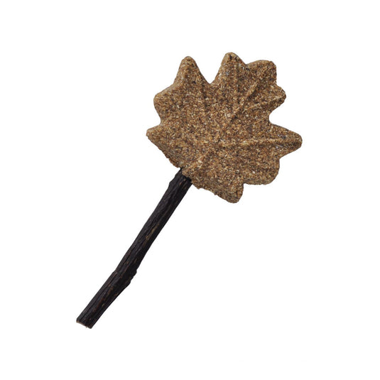 Maple Leaf Lollipop Chew Stick