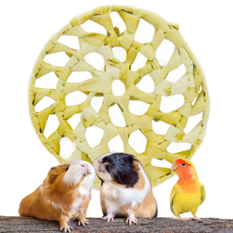 Load image into Gallery viewer, 3.5-inch Palm Circle w/ Holes
