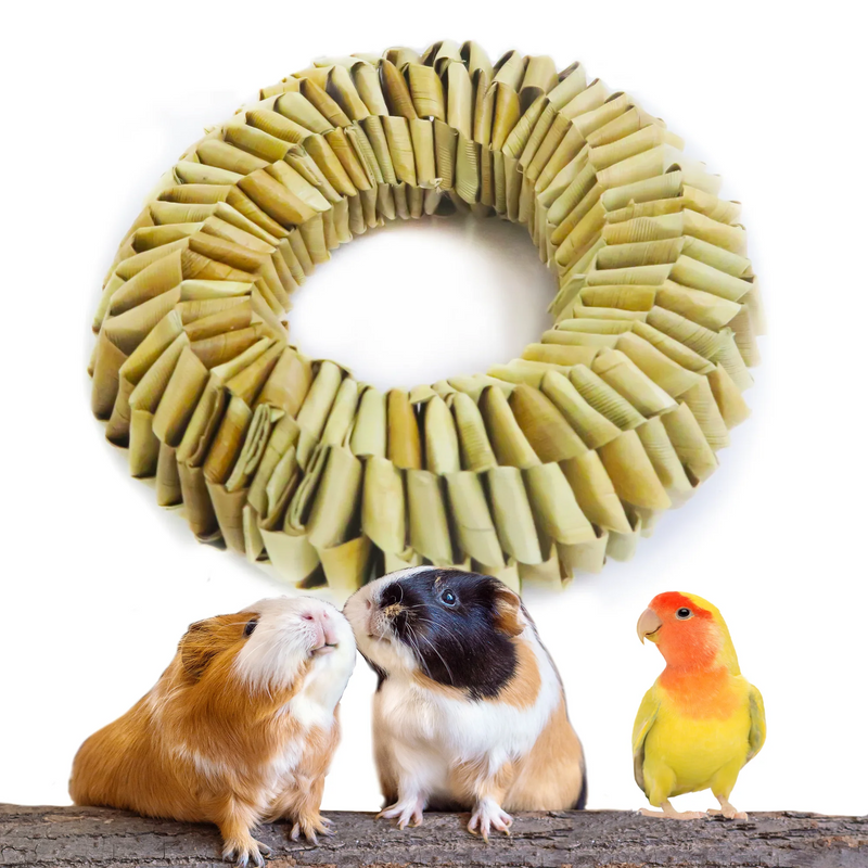 Load image into Gallery viewer, 4-inch Palm Donut Bird Shredding Foot Toy
