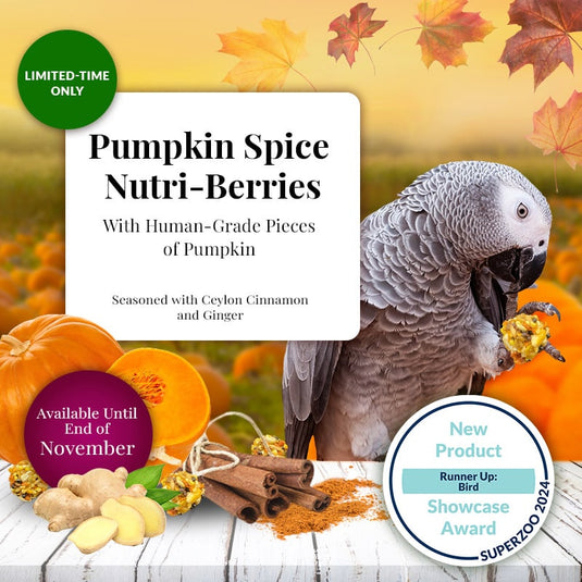 Lafeber's LIMITED EDITION Pumpkin Spice Nutri-Berries for Parrots