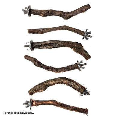 Assorted Natural Bird Grapevine Wood Perches - Single Branch 🍁