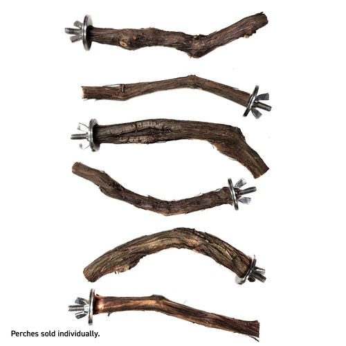 Assorted Natural Bird Grapevine Wood Perches - Single Branch 🍁