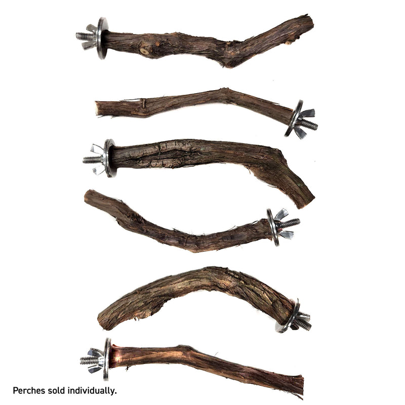 Assorted Natural Bird Grapevine Wood Perches - Single Branch 🍁
