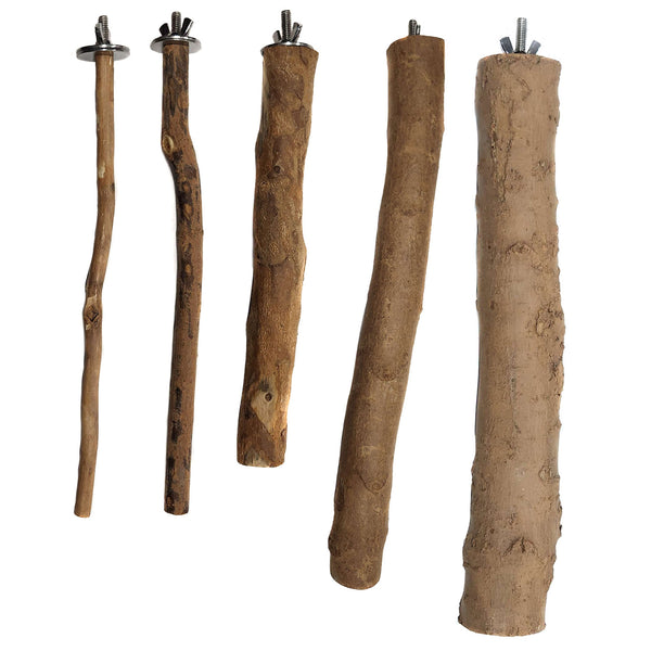 Assorted Natural Bird Hard Wood Perches - Single Branch