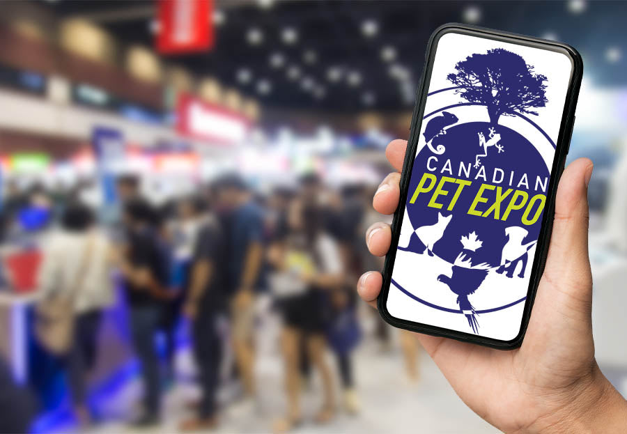 Pet Shows