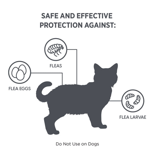 Praventa 360 for Large Cats - 1 Tube