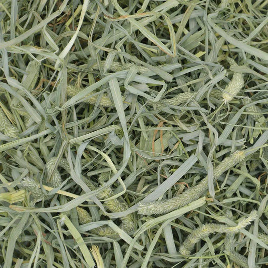 Prime Cut Hearty & Crunchy Timothy Hay
