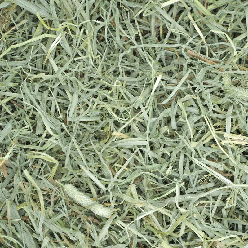 Prime Cut Soft & Lush Timothy Hay

