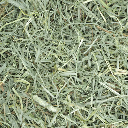 Prime Cut Soft & Lush Timothy Hay