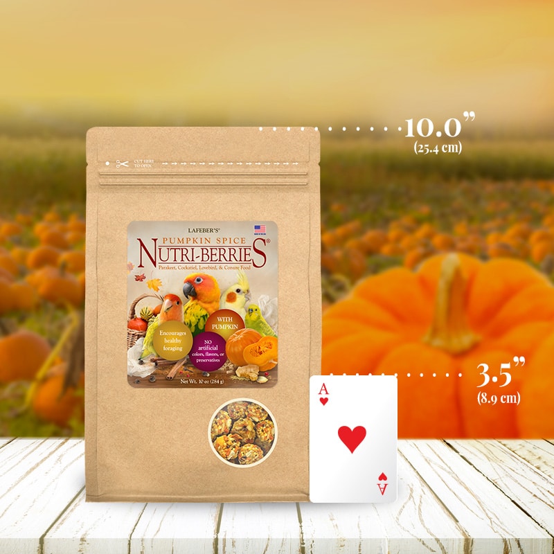 Lafeber's LIMITED EDITION Pumpkin Spice Nutri-Berries Small Bird
