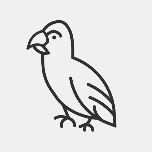Purchasing A Bird