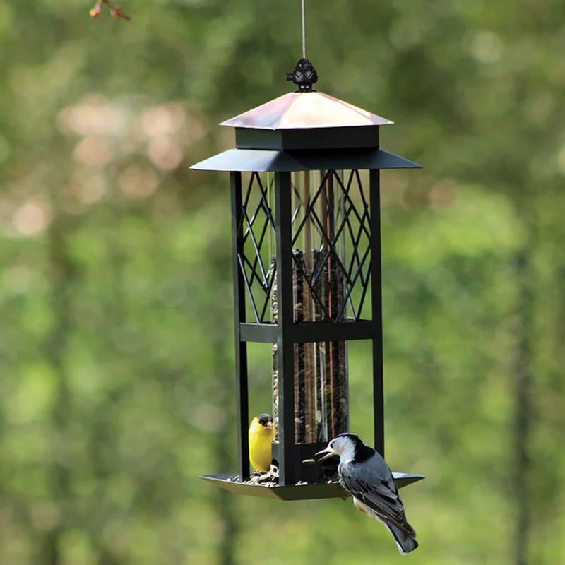 Regal Trellis Wild Bird Feeder
