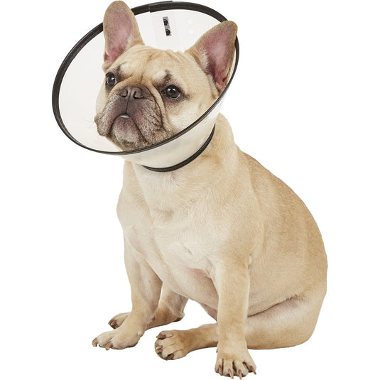 Remedy Recovery Cone E-Collar Clear