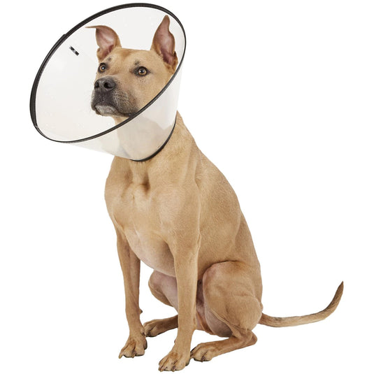 Remedy Recovery Cone E-Collar Clear